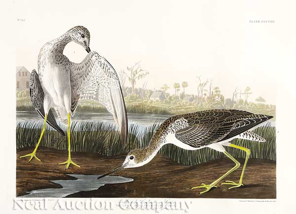 John James Audubon (American