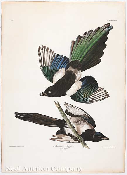John James Audubon (American