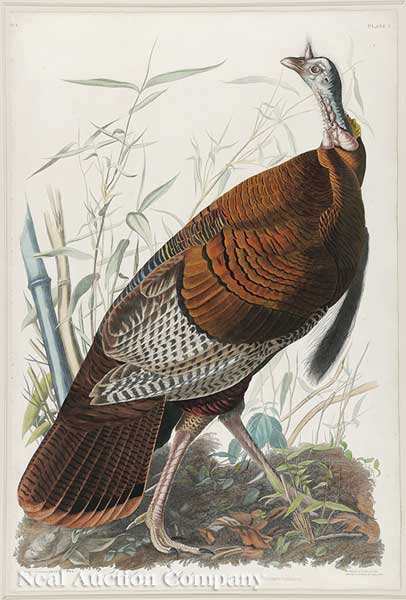 John James Audubon (American