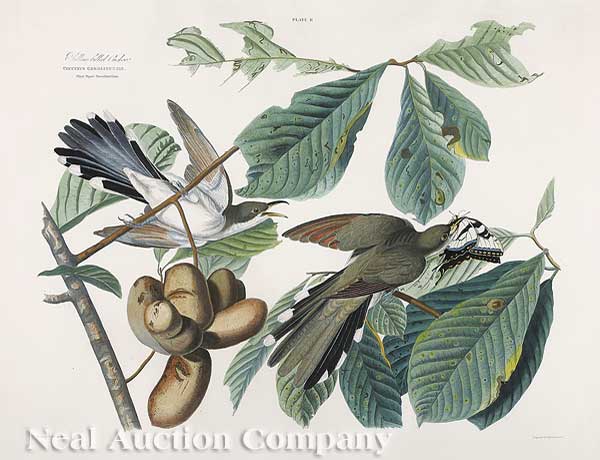 John James Audubon (American