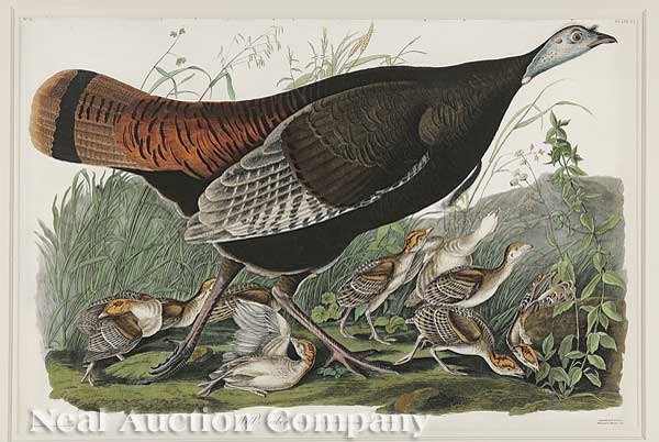 John James Audubon (American