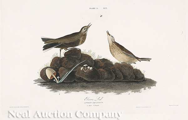 John James Audubon (American