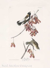 John James Audubon (American 1