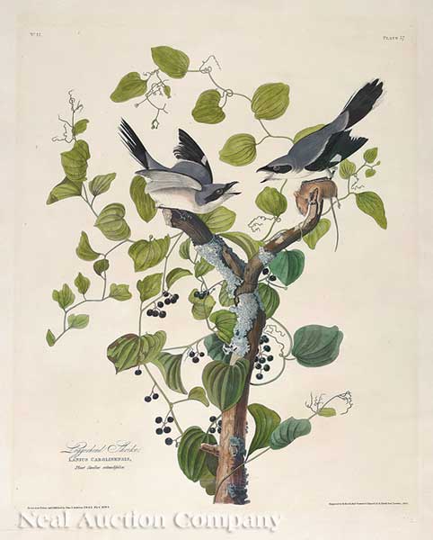 John James Audubon (American