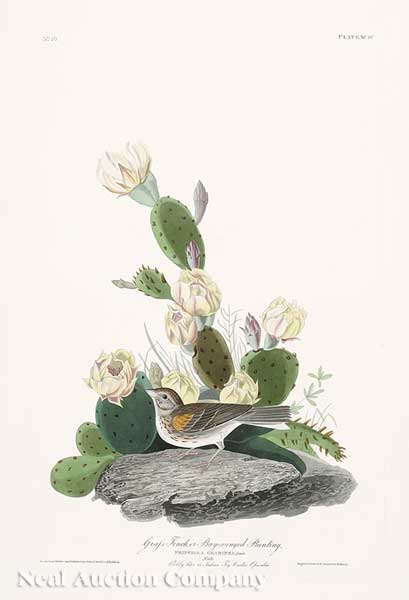 John James Audubon (American