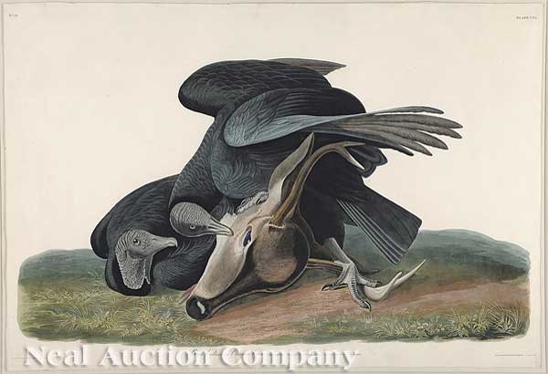 John James Audubon (American
