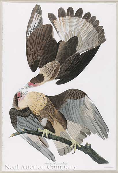 John James Audubon (American