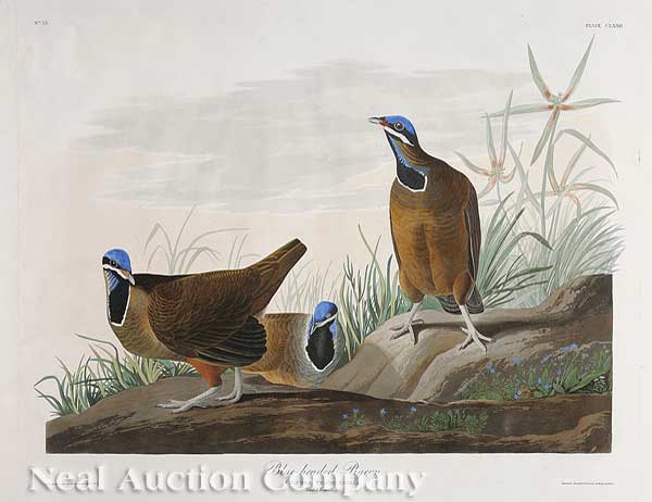 John James Audubon (American