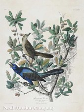John James Audubon (American 1