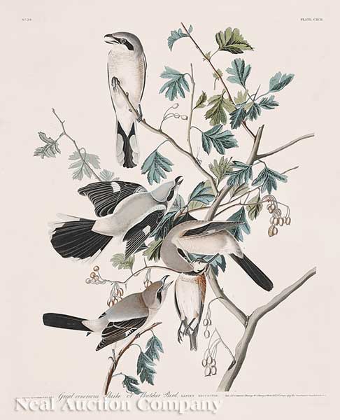 John James Audubon (American