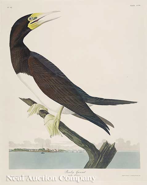 John James Audubon (American