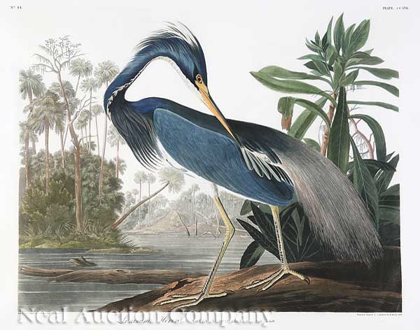 John James Audubon (American