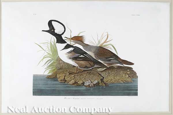 John James Audubon (American