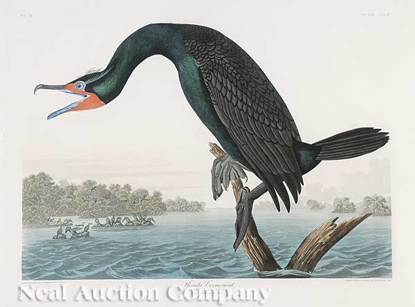 John James Audubon (American