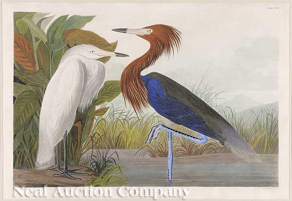 John James Audubon (American