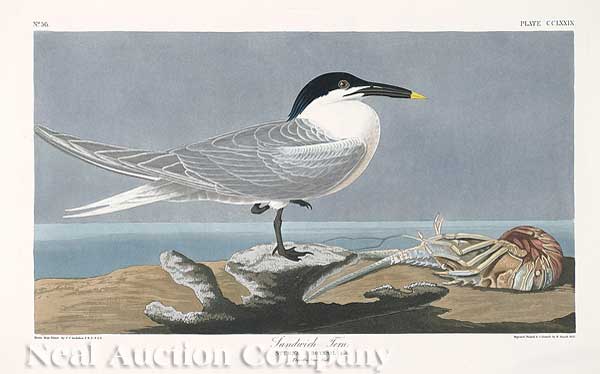 John James Audubon (American