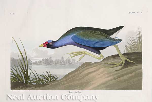John James Audubon (American