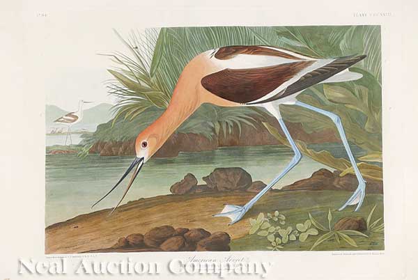 John James Audubon (American
