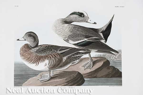 John James Audubon (American