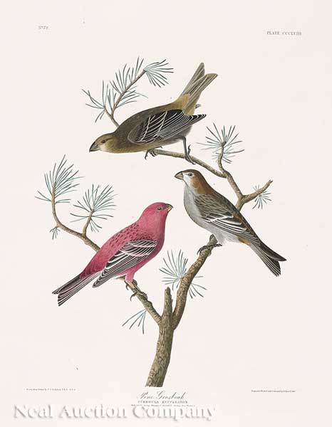 John James Audubon (American