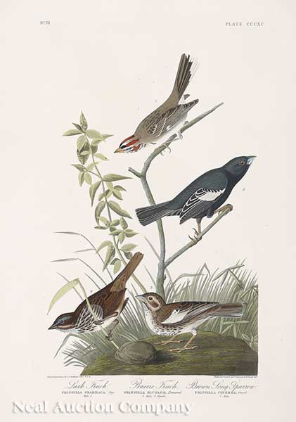 John James Audubon (American