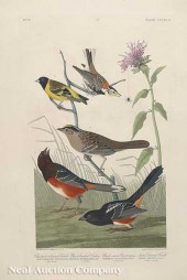 John James Audubon (American 1