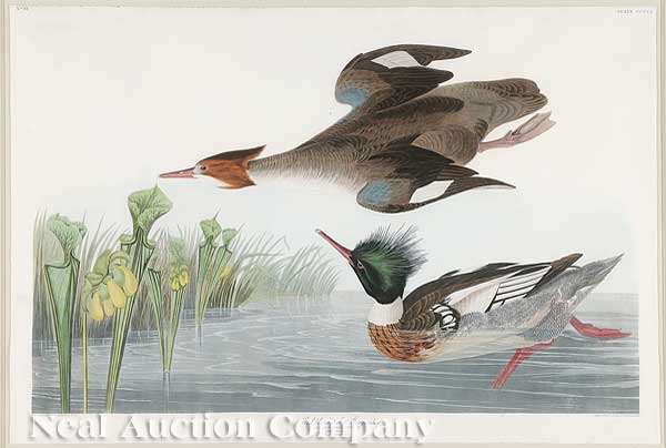 John James Audubon (American