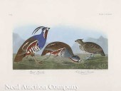 John James Audubon (American 1