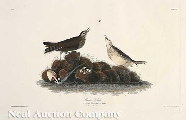 John James Audubon (American