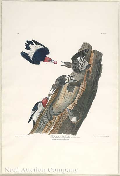 John James Audubon (American