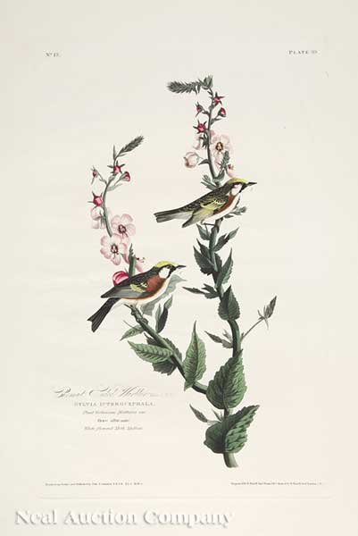 John James Audubon (American