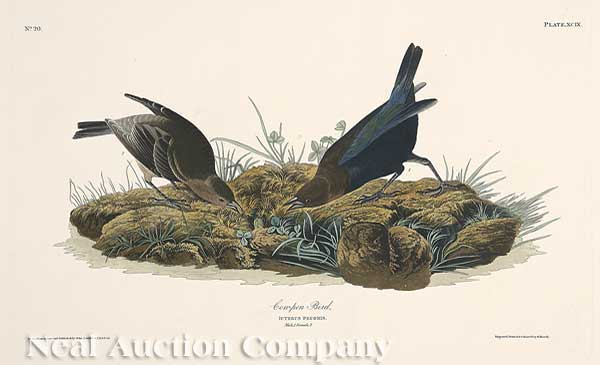 John James Audubon (American