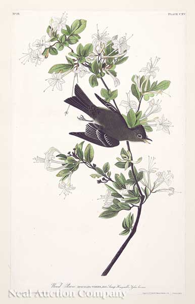 John James Audubon (American
