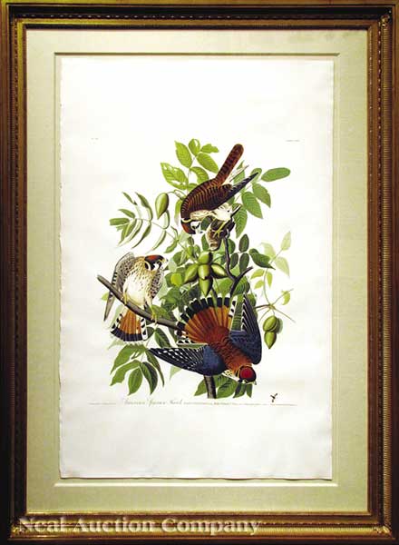 John James Audubon (American