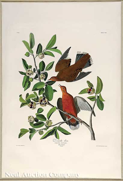 John James Audubon (American
