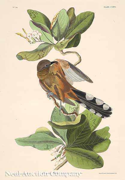 John James Audubon (American