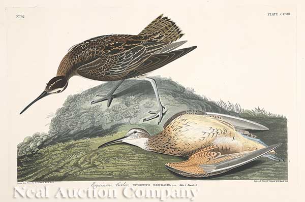 John James Audubon (American