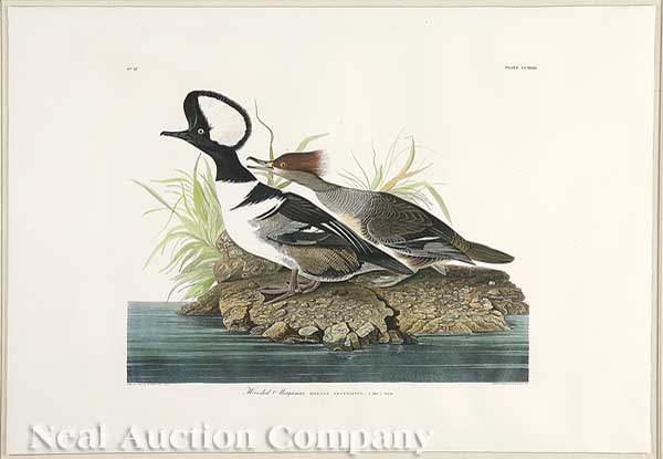 John James Audubon (American