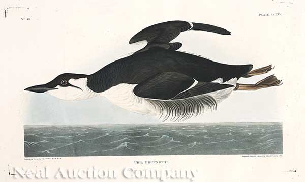 John James Audubon (American