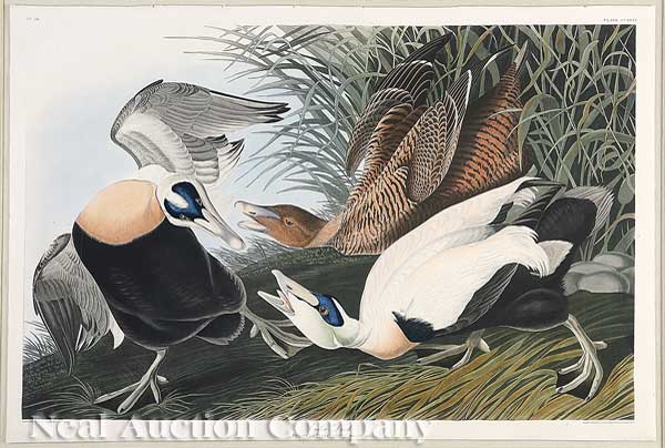 John James Audubon (American