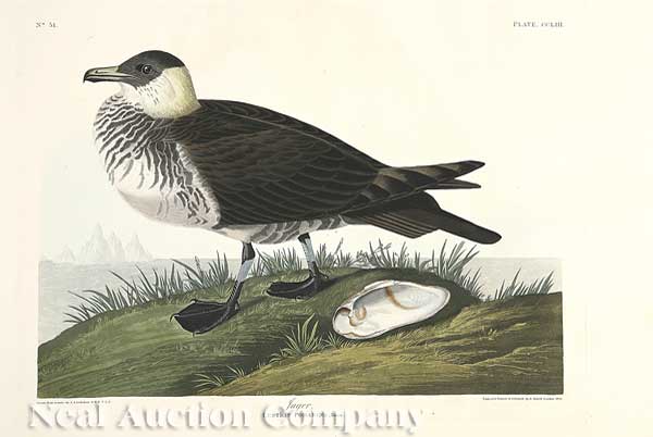 John James Audubon (American