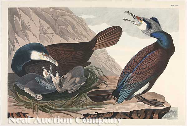 John James Audubon (American