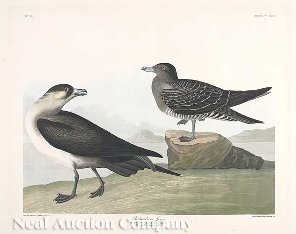 John James Audubon (American