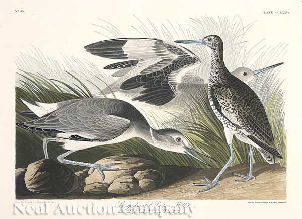John James Audubon (American