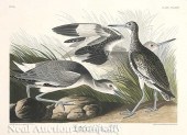 John James Audubon (American 1