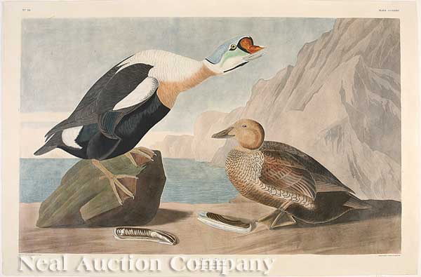 John James Audubon (American