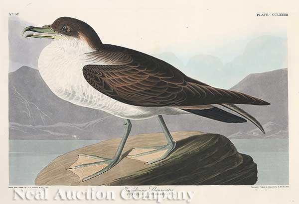 John James Audubon (American