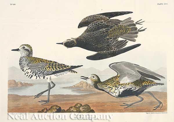 John James Audubon (American
