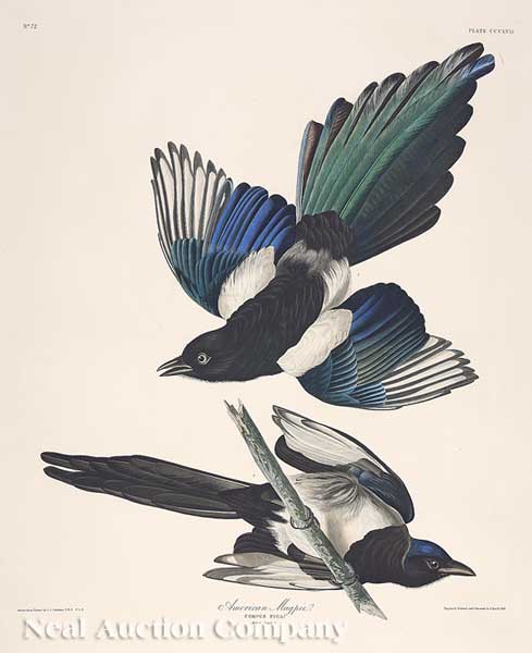 John James Audubon (American