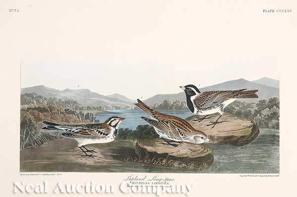 John James Audubon (American